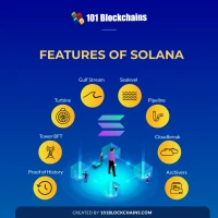 Solana's Crypto Plunge: What Happened and Why